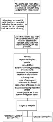 A retrospective audit of young adults who received permanent pacemakers at a teaching hospital in the Western Cape, South Africa